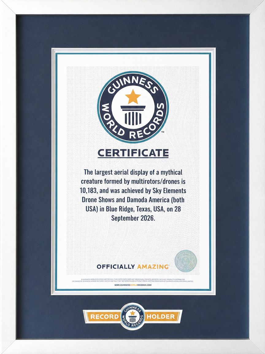 10,183 Guinness World Records